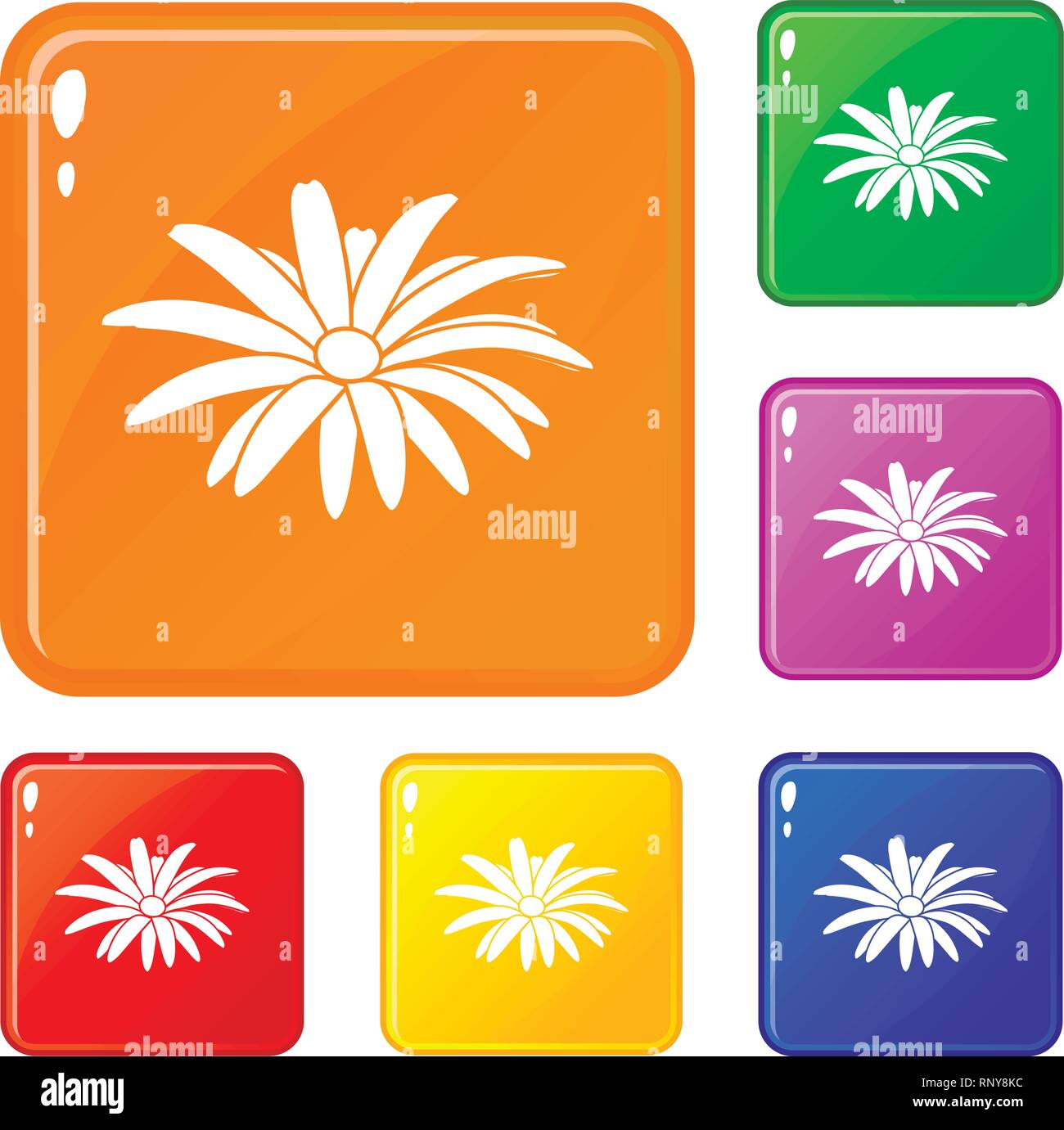 Camomile flower icons set vector color Stock Vector Image & Art - Alamy