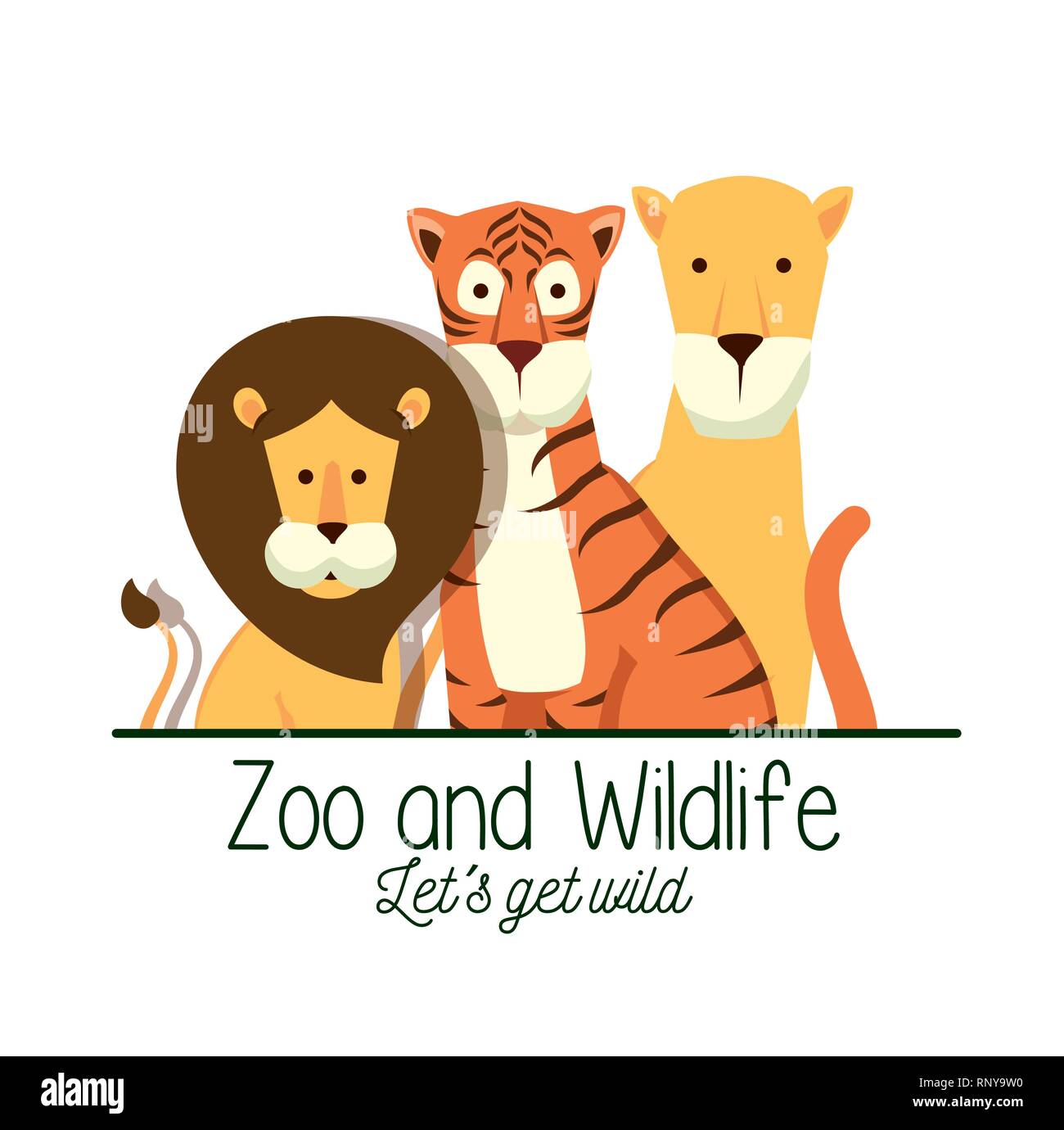 lion with tiger and lion in the safari reserve vector illustration ...