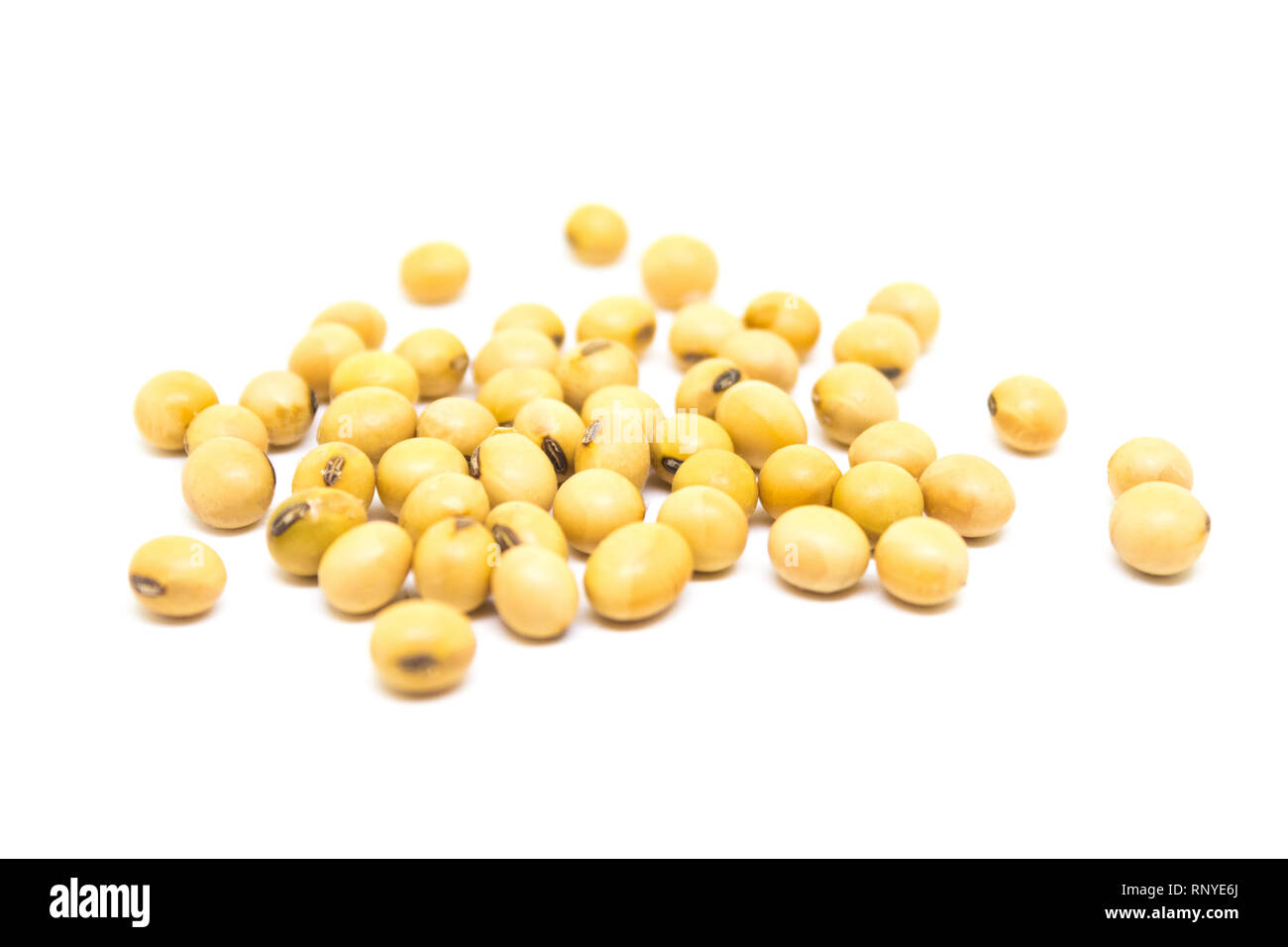 close-ups of soybeans isolated on white background Stock Photo