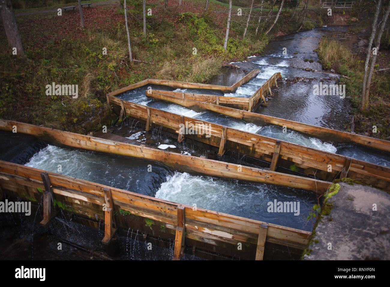 Fish ladders aid salmon on their upstream migration on small river Stock Photo