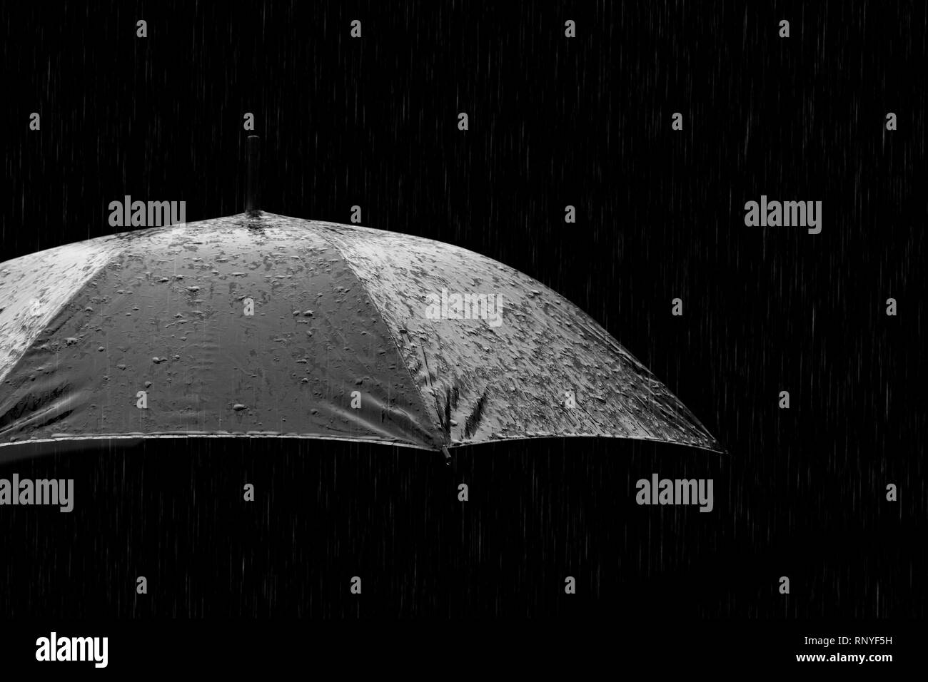 Black and white photo of umbrella in heavy rain Stock Photo - Alamy