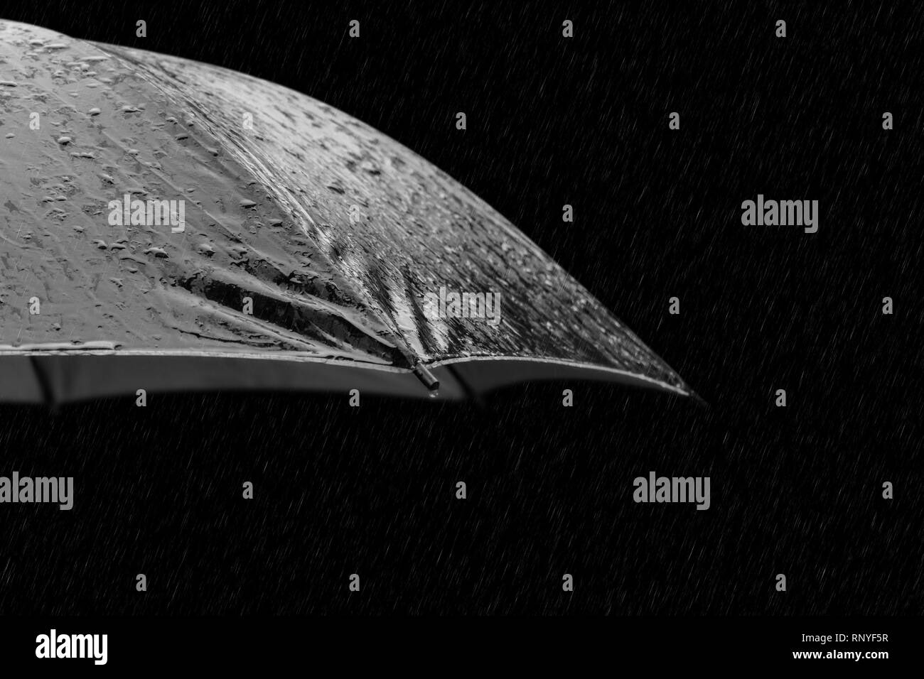 Black and white photo of umbrella in heavy rain Stock Photo - Alamy