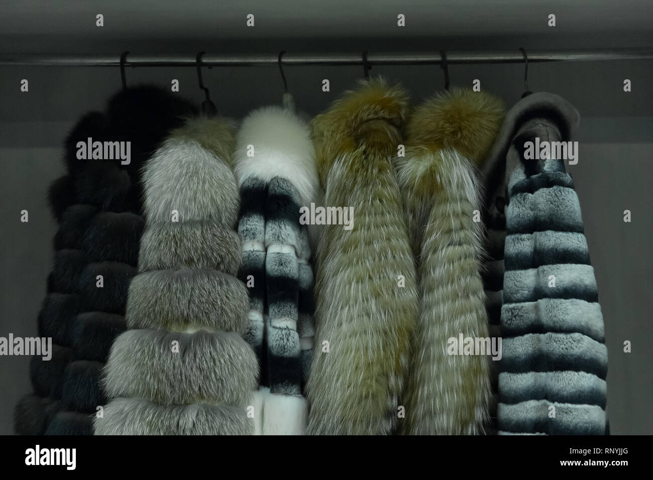 Fur coats mink sable hi-res stock photography and images - Alamy