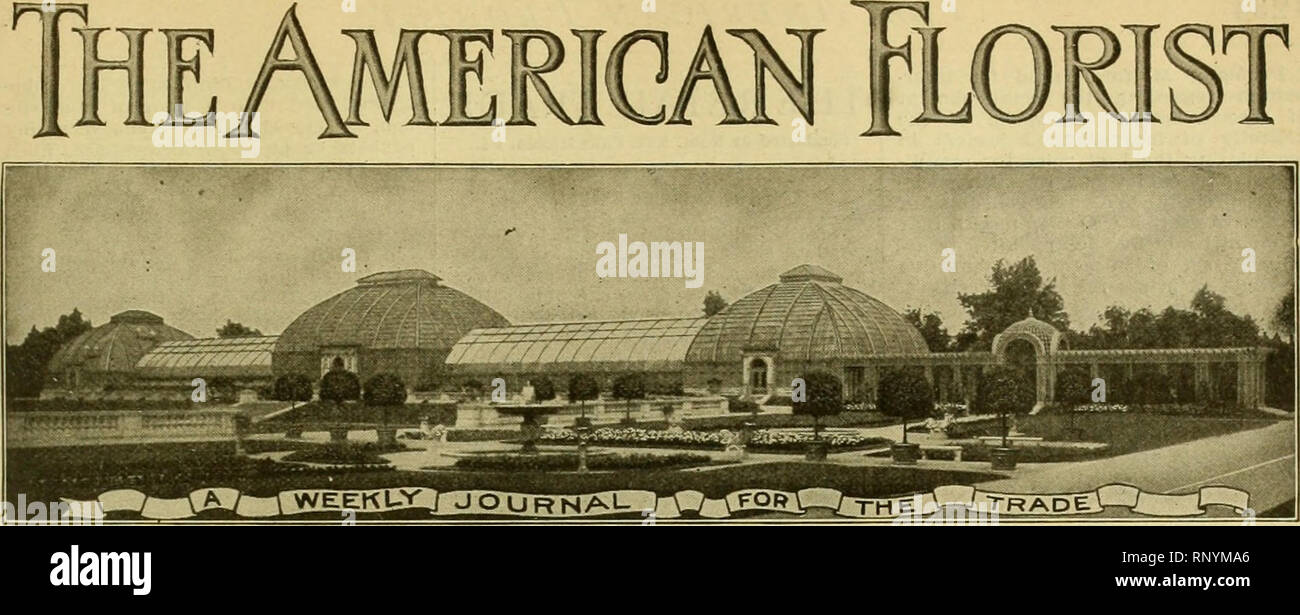 The American Florist A Weekly Journal For The Trade