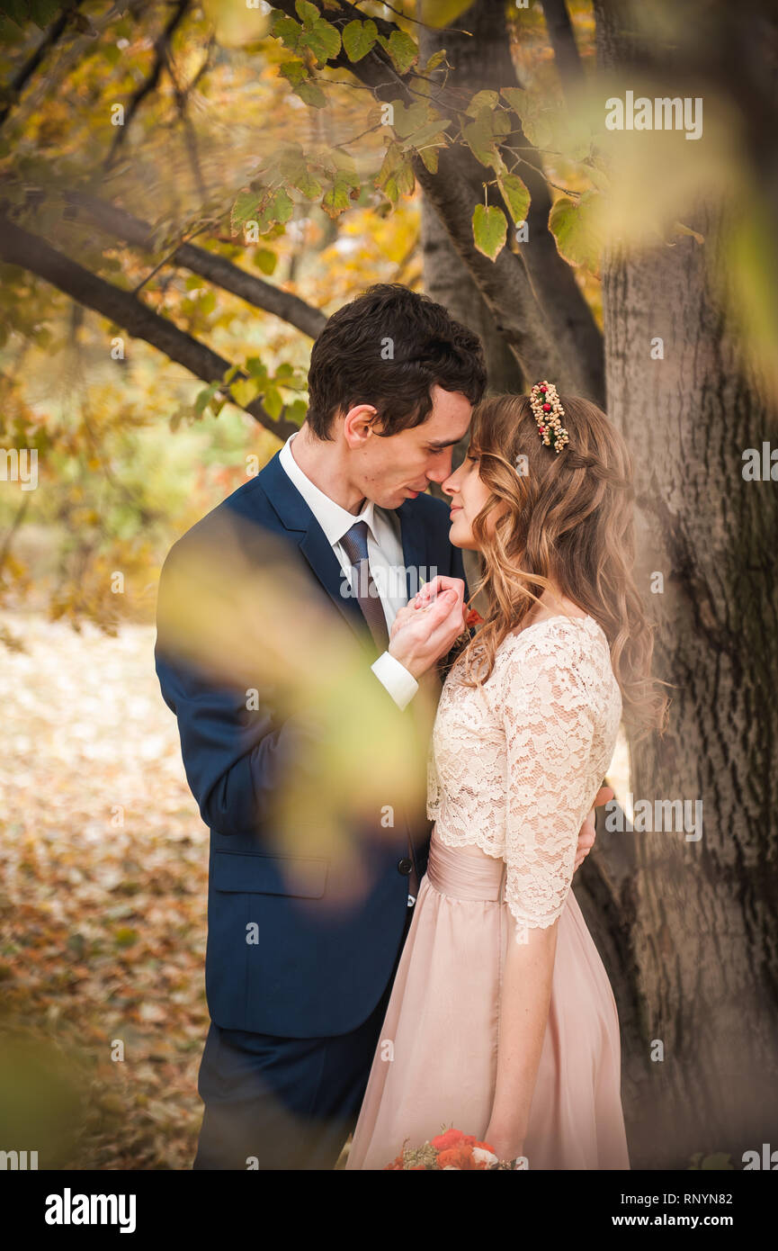 Bride and groom hugging in a forest in the autumn forest Stock Photo ...