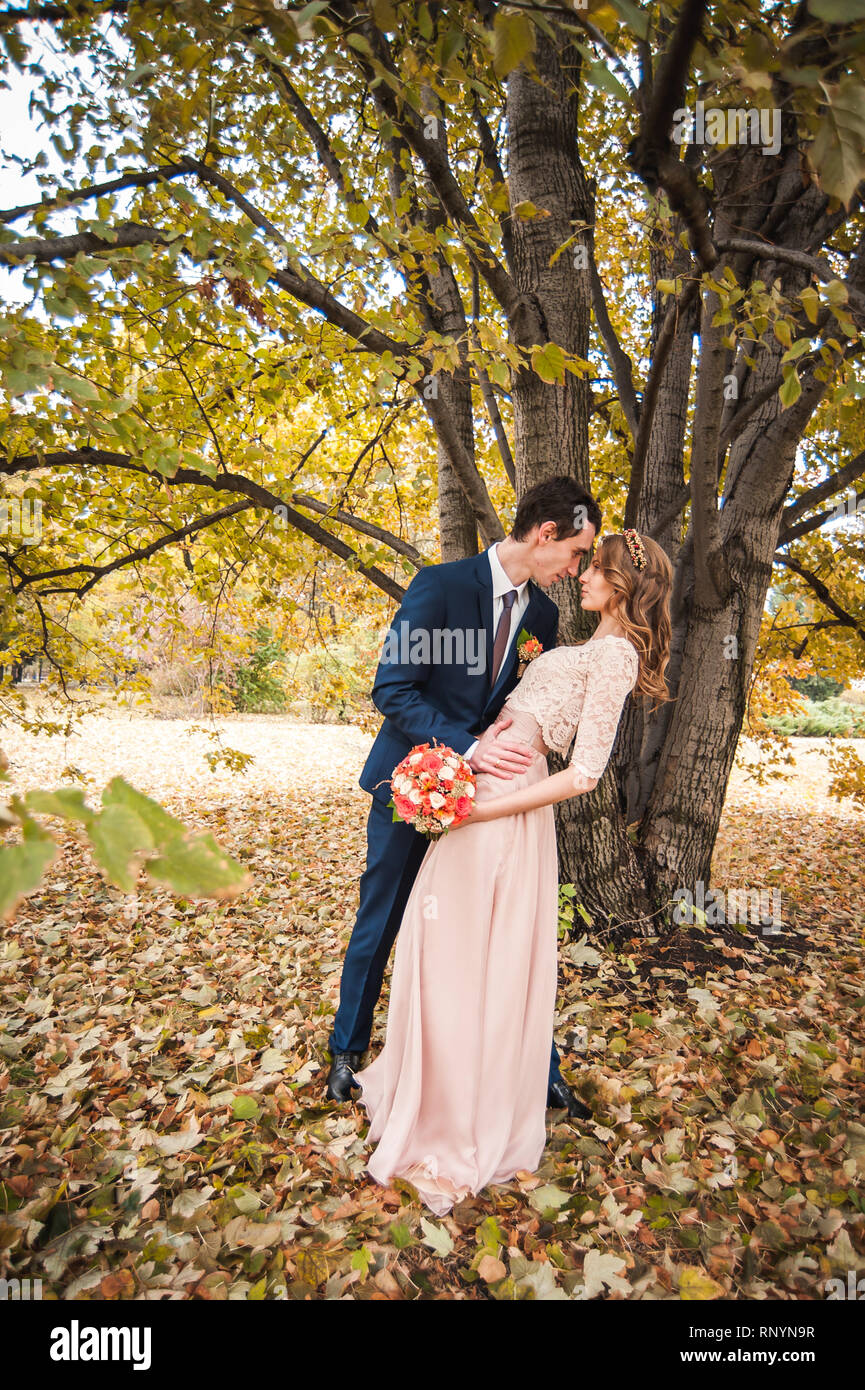 Bride and groom hugging in a forest in the autumn forest Stock Photo ...