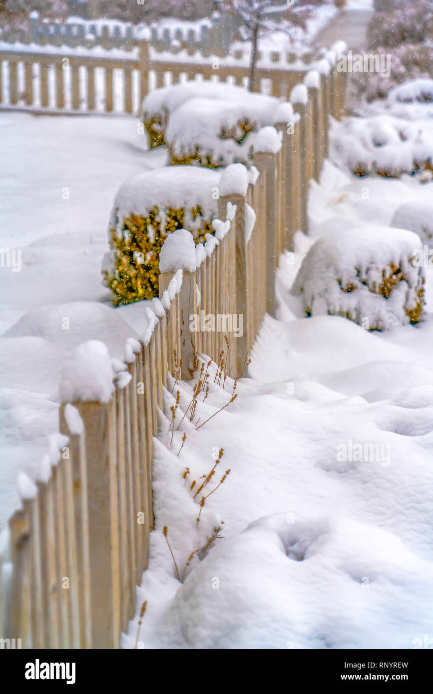 Fence and shrubbery on snow covered ground Stock Photo