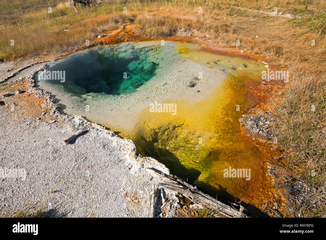 WYOMING - Colorful hot spring right next to the trail in the Middle Group of the Heart Lake Geyser Basin in the backcountry of Yellowstone. Stock Photo