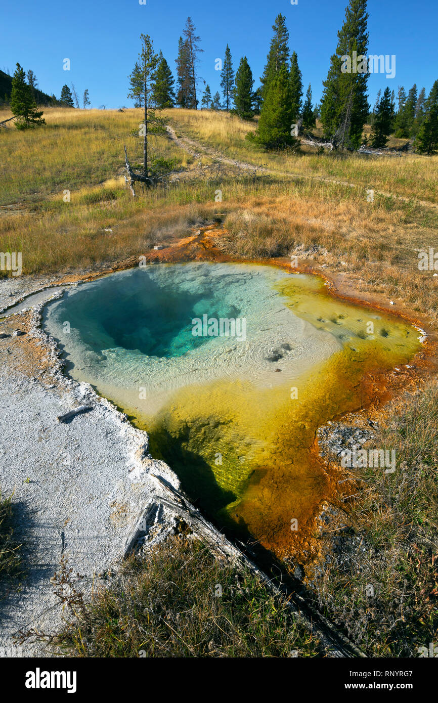 WYOMING - Colorful hot spring right next to the trail in the Middle Group of the Heart Lake Geyser Basin in the backcountry of Yellowstone. Stock Photo