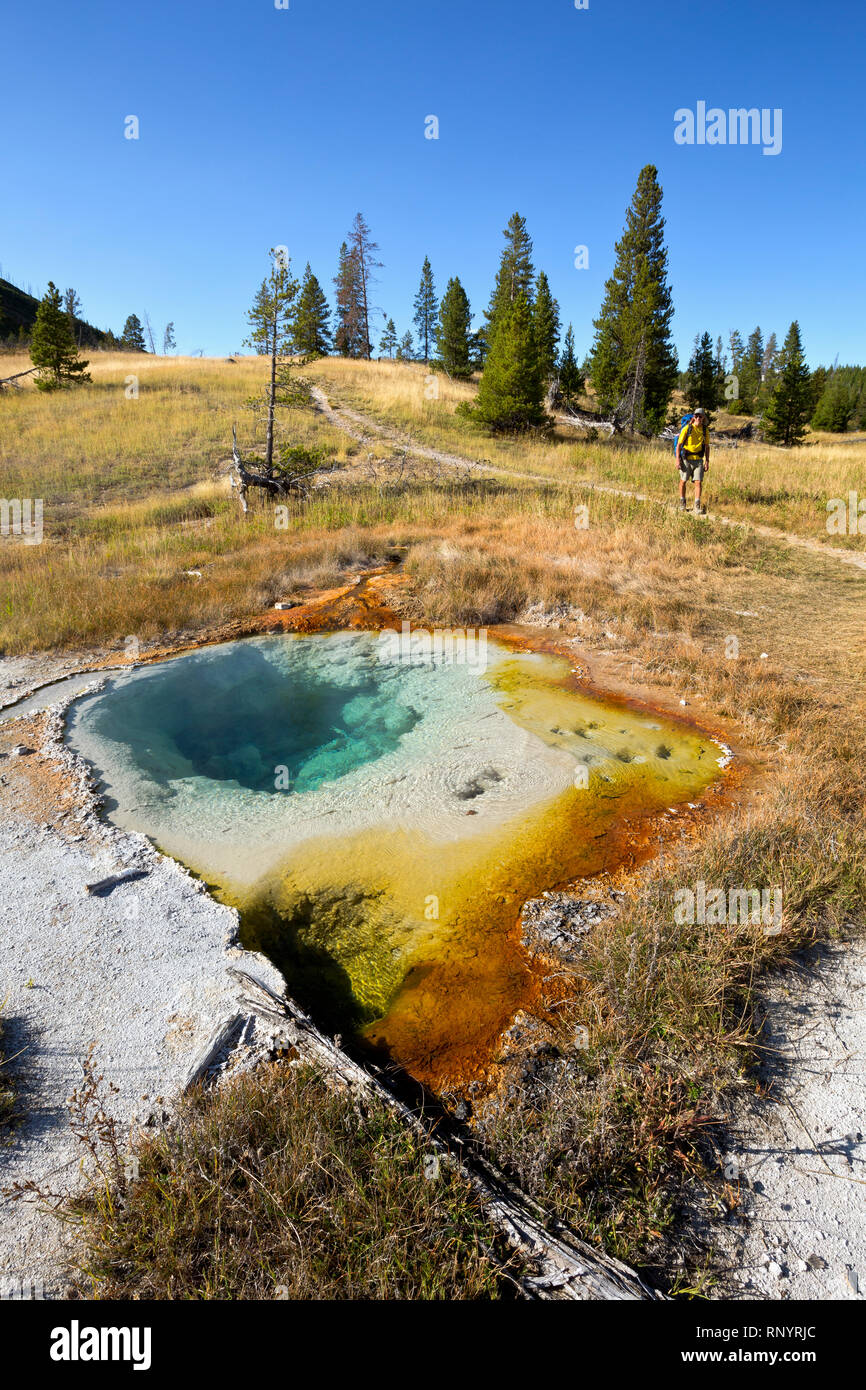 WY03822-00...WYOMING - Hiker passing a colorful hot spring, part of the Middle Group of the Heart Lake Geyser Basin in the backcountry of Yellowstone  Stock Photo