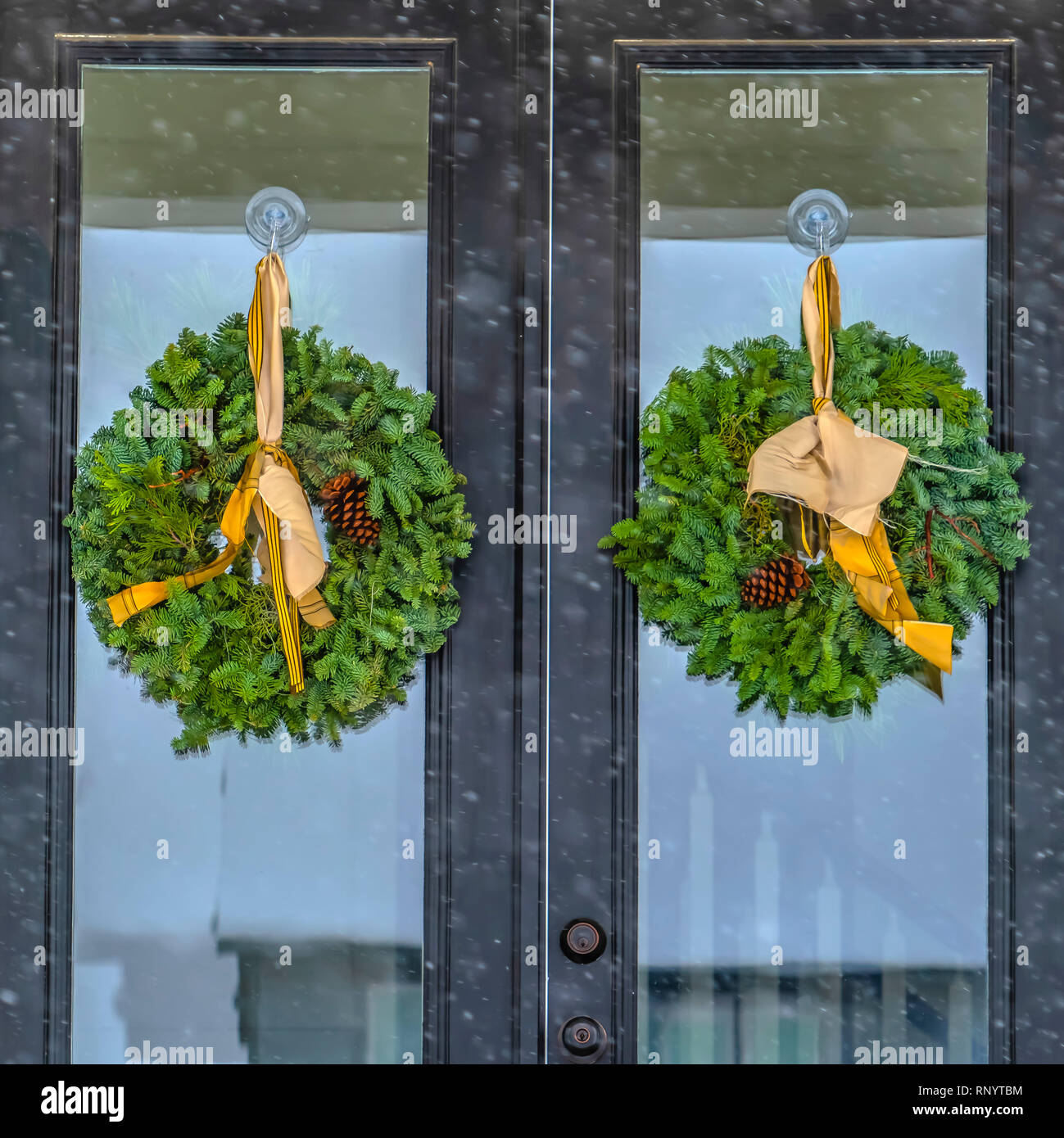 Green Double Door Stock Photos Green Double Door Stock Images