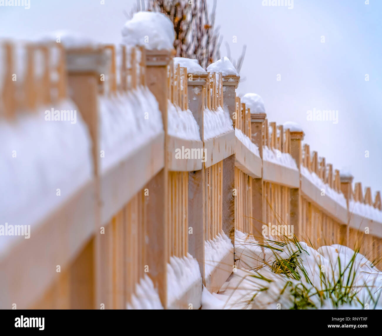 Snow covered tree with wooden fence hi-res stock photography and images ...