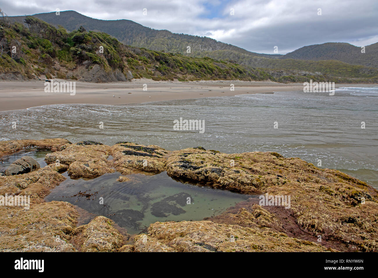 Granite beach along the South Coast Track Stock Photo