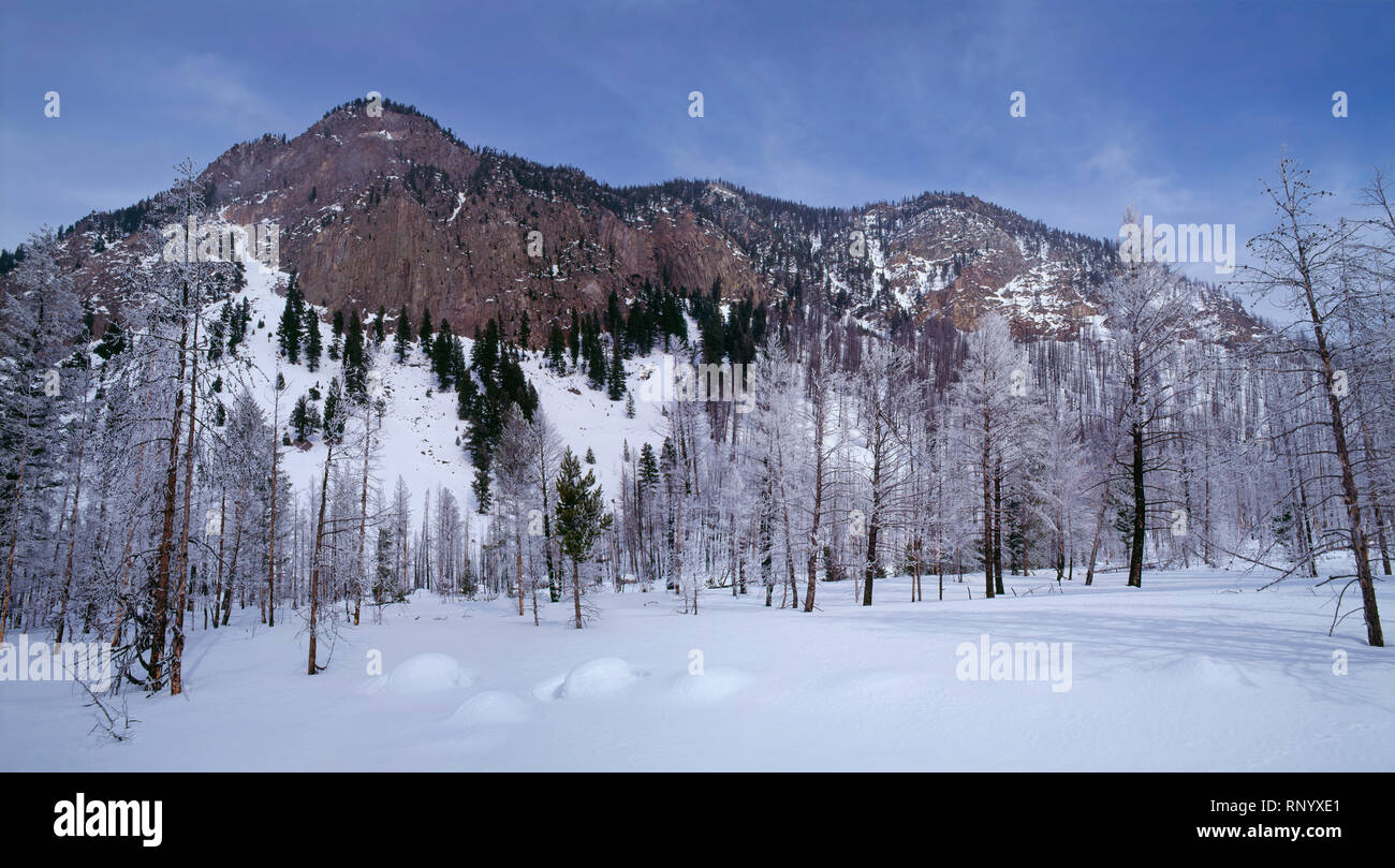 Snag canada cold hi-res stock photography and images - Alamy