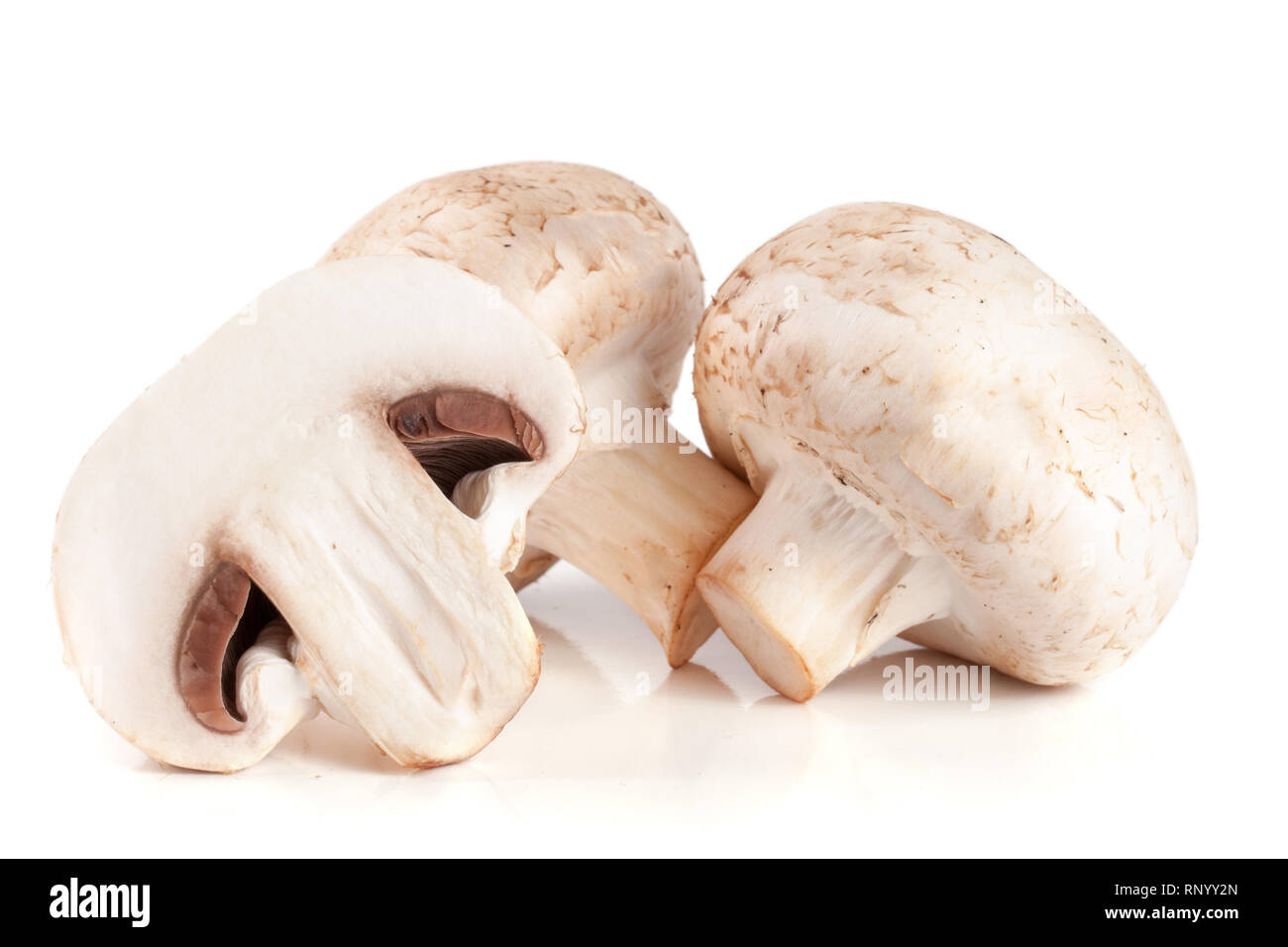 Fresh champignon mushrooms isolated on white background. Stock Photo