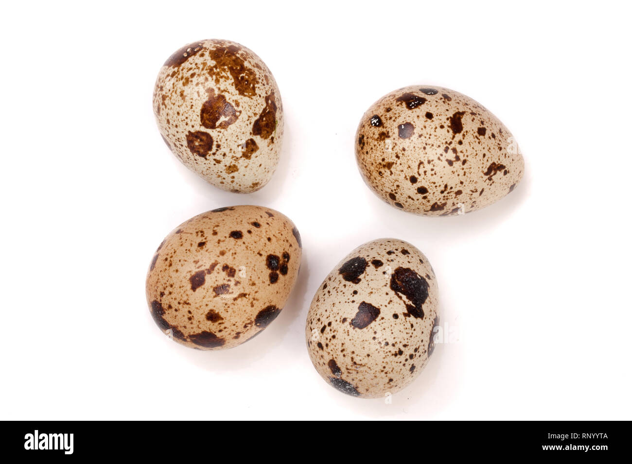 four quail eggs isolated on white background. Top view. Stock Photo