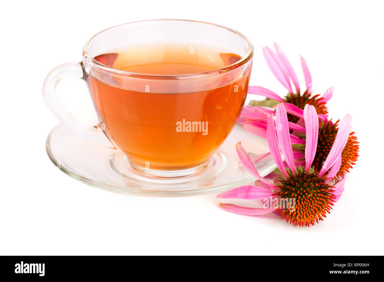 Echinacea tea isolated on white background. Medicinal tea Stock Photo
