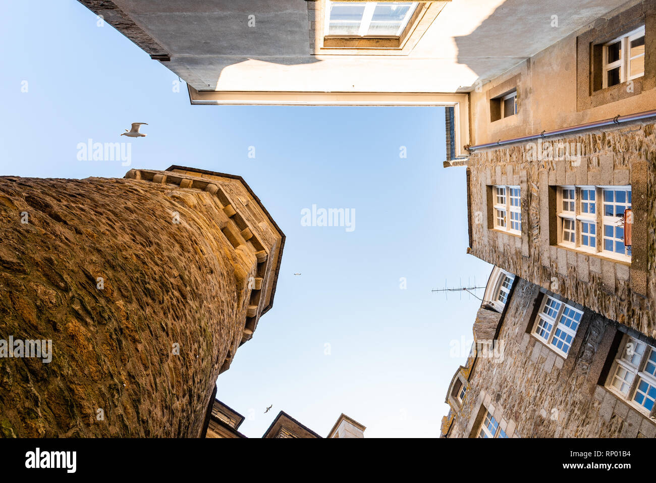 Directly below view of buildings in Saint Malo with seagull flying against blue sky Stock Photo
