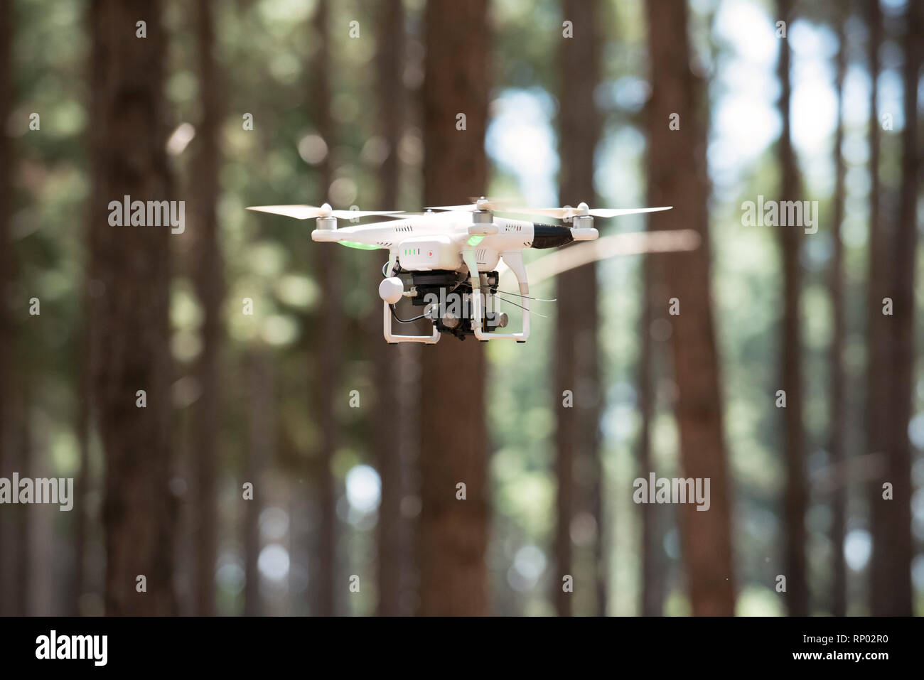 Drone flying in forest Stock Photo