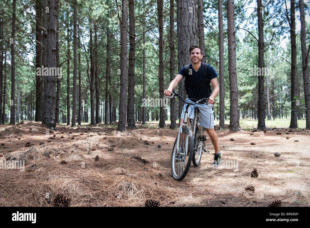 Young man cycling in pine forest Stock Photo