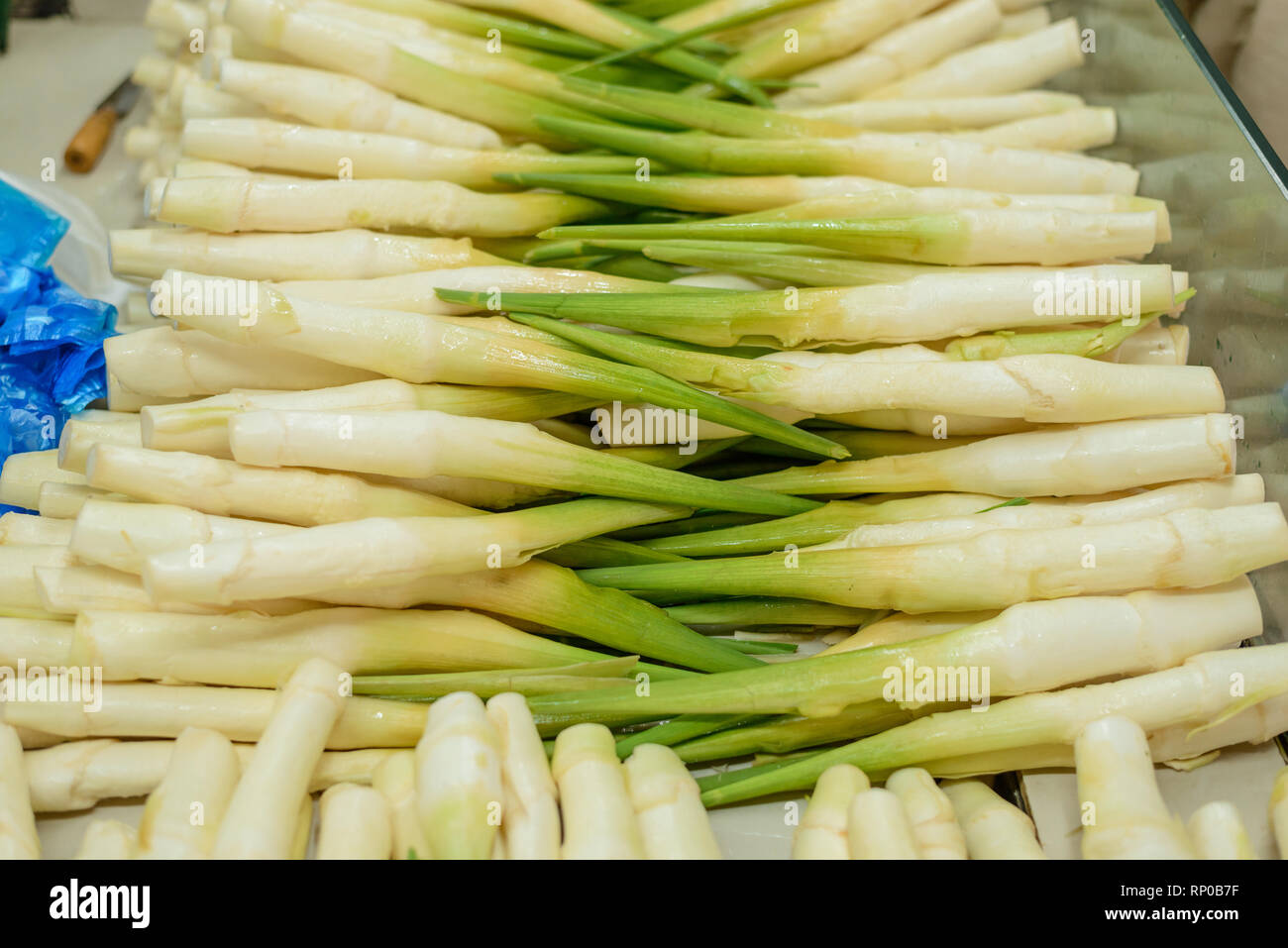 Water bamboo hires stock photography and images Alamy