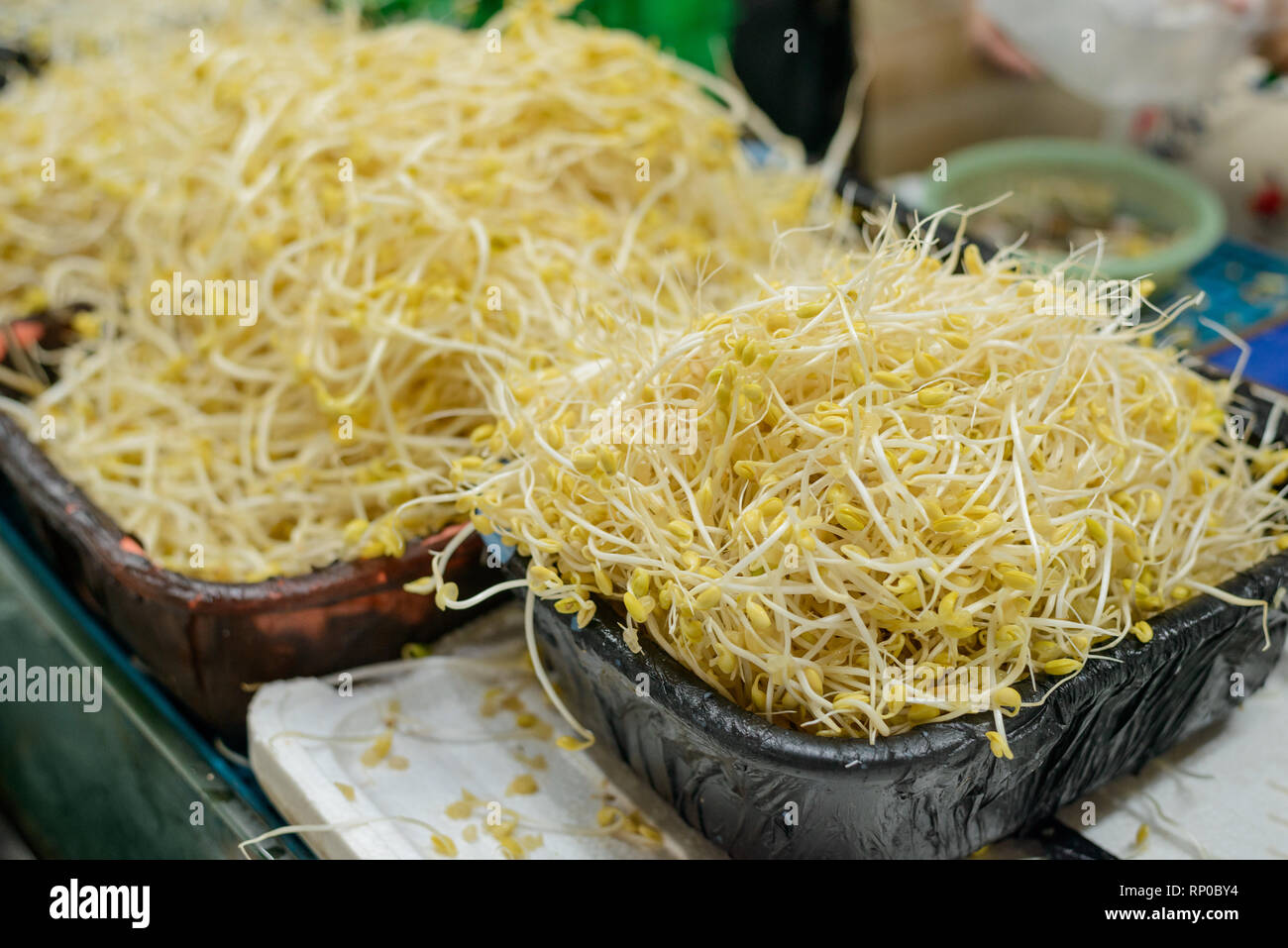 Bowl of soy bean sprouts Stock Photo Alamy