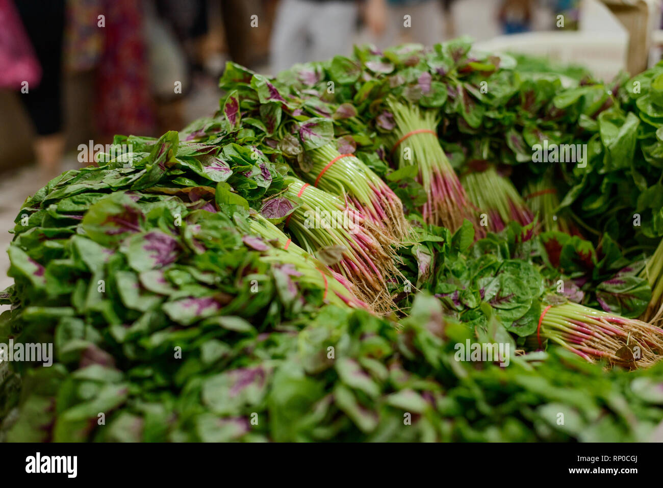 Bunches of Chinese spinach Stock Photo