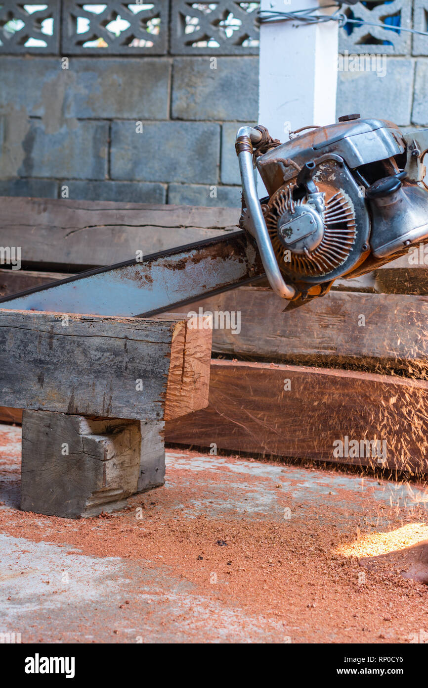 Carpenter is using gasoline engine portable chainsaw cut timber. Stock Photo