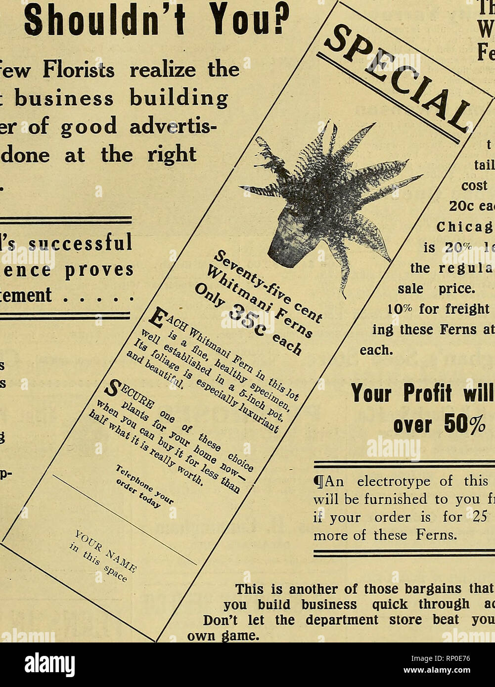 . The American florist : a weekly journal for the trade. Floriculture; Florists. i9J5- The American Florist. 339 Many Retail Florists Benefit BY WITTBOLD SALES CO-OPERATION Why Shouldn't You? Very few Florists realize the vast business building power of good advertis- ing done at the right time. Wittbold experi this statement And now Wittbold is helping his customers by expert advertising and sales co-op eration.. These Whitmani Ferns described in this attrac- tive re- ail ad will st you only each, f. o. b. igo, which 20% less than regular whole- price. Allowing freight and sell- Ferns at 35 c Stock Photo