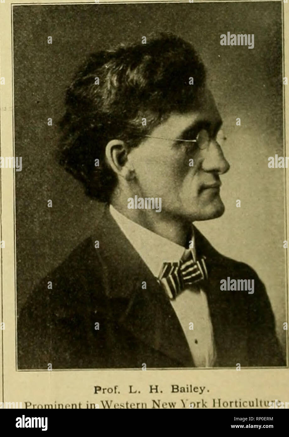 Arthur b c walker hi-res stock photography and images - Alamy