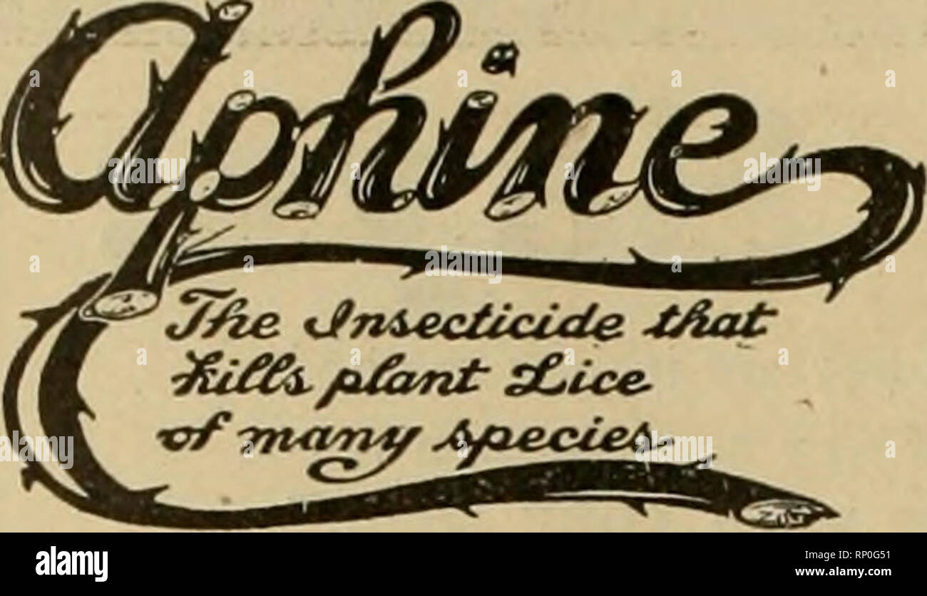. The American florist : a weekly journal for the trade. Floriculture; Florists. 946 The American Florist. May 12,. The Recognized Standard Insecticide A spray remedy for green, black, white fly thrips and soft scale. Quart, $1.00. Gallon, $2.50. FONGINE. For mildew, rust and other blights affecting flowers, fruits and vegetables. Quart, $1.00 Gallon, $3.50 VERMINE. For eel worms, angle worms and other worms workine &gt;n the soil. Quart, $1.00 Gallon, $3.00 Sold by Dealers. APHINE MANUFACTURING COMPANY MADISON, N. J. Mention the American Florist when writing. FOR RESULTS USE Magic Brand Wm. F Stock Photo