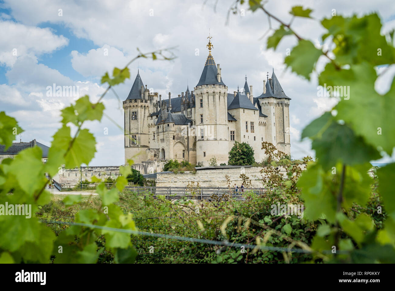Saumur castle in the summer in the Loire valley Stock Photo - Alamy