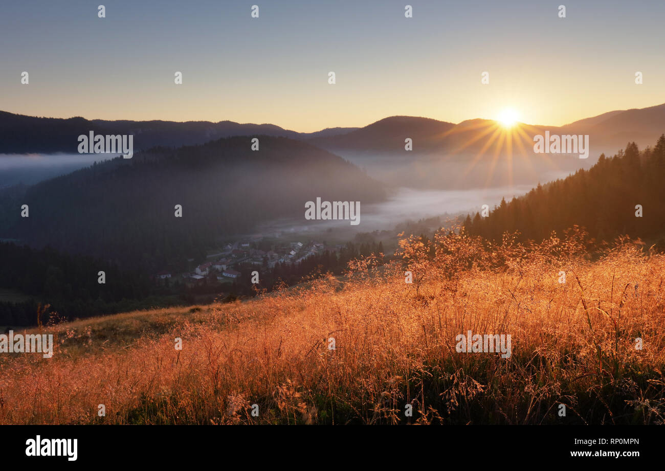 Landcape with sun, meadow, forest and mountain. Stock Photo