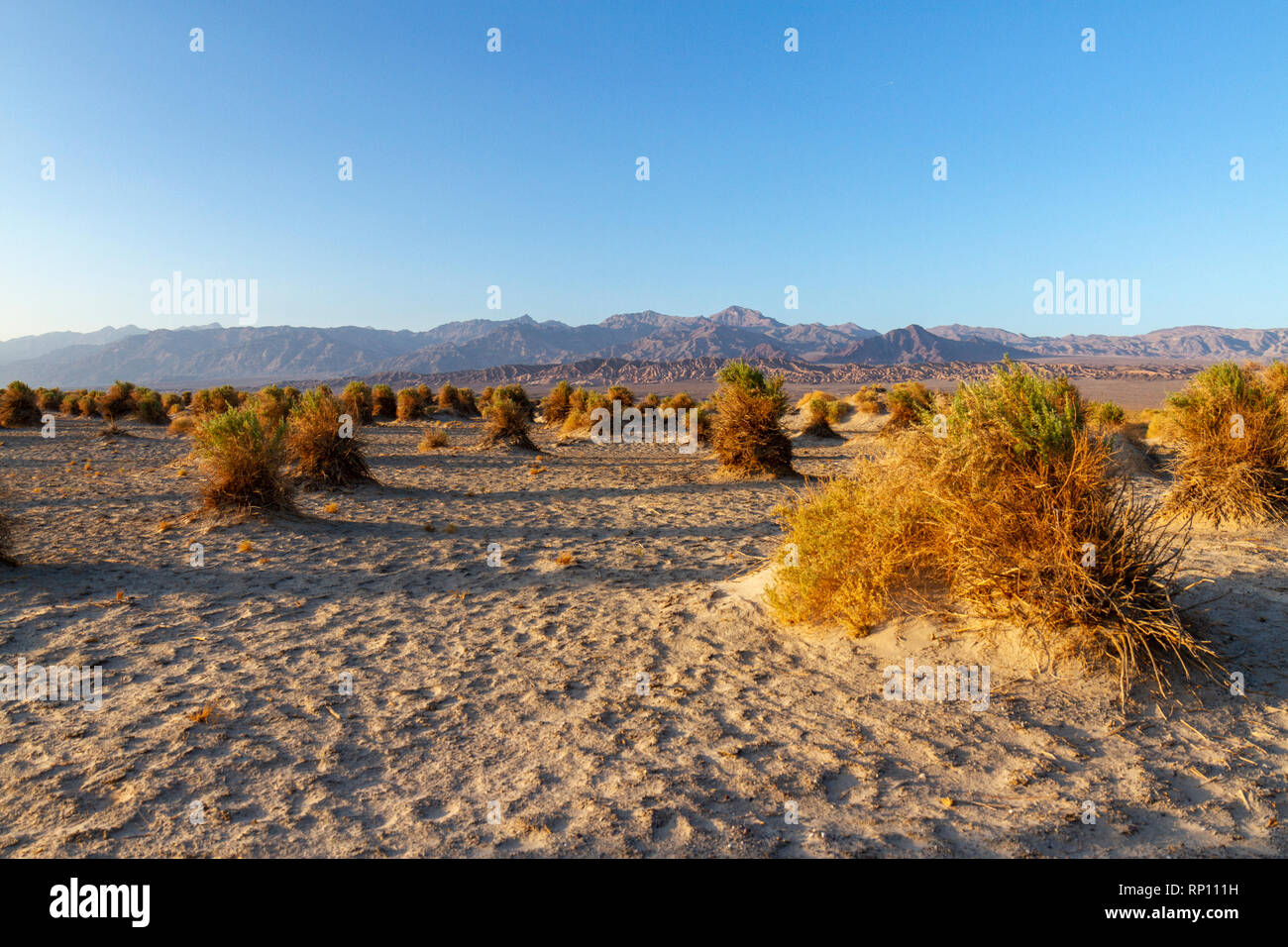 View across the desert from California State Route 190close to Hells Gate, Death Valley National Park, California, United States. Stock Photo