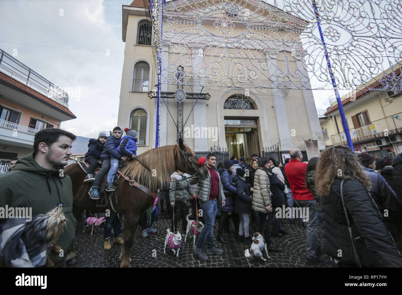 Blessing Of Animals In Cicciano Italy In Honour Of Celebrated Hermit Sant Antonio Abate Featuring Atmosphere