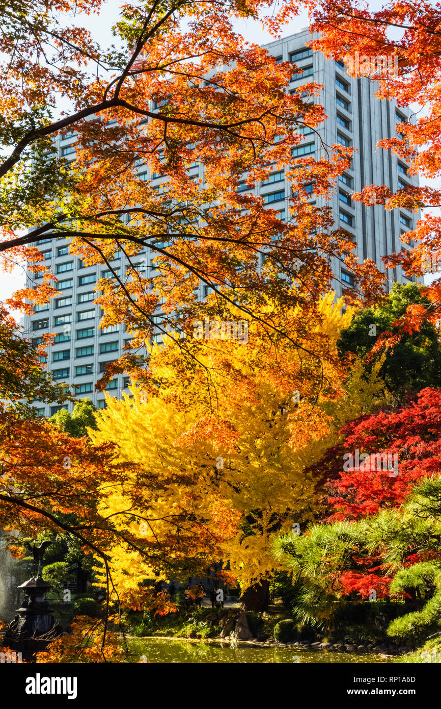 Japan, Honshu, Tokyo, Hibiya, Hibiya Park, Autumn Leaves Stock Photo