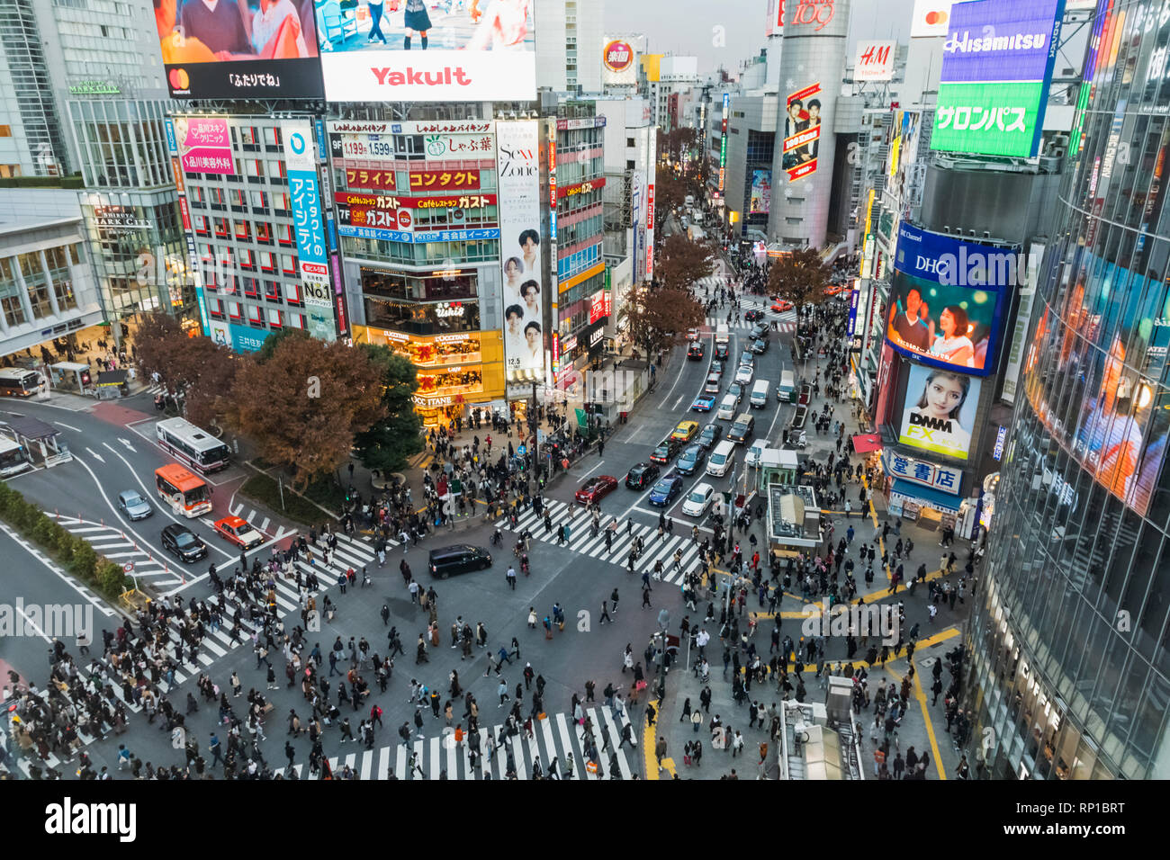 Japan, Honshu, Tokyo, Shibuya, Night Lights and Skyline Stock Photo
