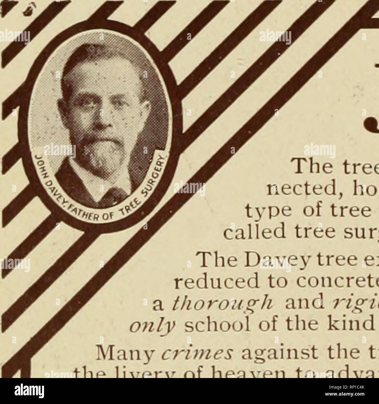 . American forestry. Forests and forestry. AMERICAN FORESTRY'S ADVERTISERS EVERGREEN and FOREST TREE SEEDLINGS and TRANSPLANTS Also SEEDS for FOREST PLANTING Immense quantities of following hardy valuable sorts: White Pine, Scotch Pine, Ponderosa Pine, Jack Pine. Austrian Pine, Douglas Fir, Balsam Fir, Norway Spruce, White Spruce, Red Spruce, Hemlock, etc., etc. DECIDUOUS TREES Larch, Beech, Birch, Maple, Ash, Wal- nut, Locust, Elm, Oaks, Catalpa Speci- osa. Wild Cherry, Linden, etc., etc. Tree Seeds—Guaranteed New Crop A complete assortment of all valuable species, both native and foreign. Hi Stock Photo