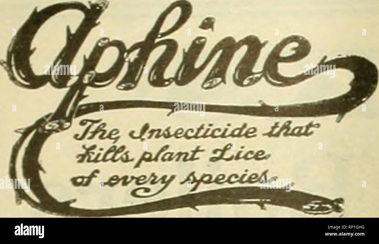 . The American florist : a weekly journal for the trade. Floriculture; Florists. 730 The American Florist. Oct. 12,. The Recognized Standard Insecticide. Not a cure-all. but a specitic remedy tor all sap suckine insects inlfstinB plant life, such as Rreen. black, white fly. thnps. red spider, mealy bufr and soft scales. $1.00 per Quart. $2.50 per GaUon. An infallible remedy for mildew, rust and bench funci. Does not stain the fohaae. 75c per Quart. $2 oo per GaUon. VERMINE . soil sterilizer and germicide. Destroys eel. cut. wire and grub worms, maggots, root lice and ants. Used 1 part to 400  Stock Photo