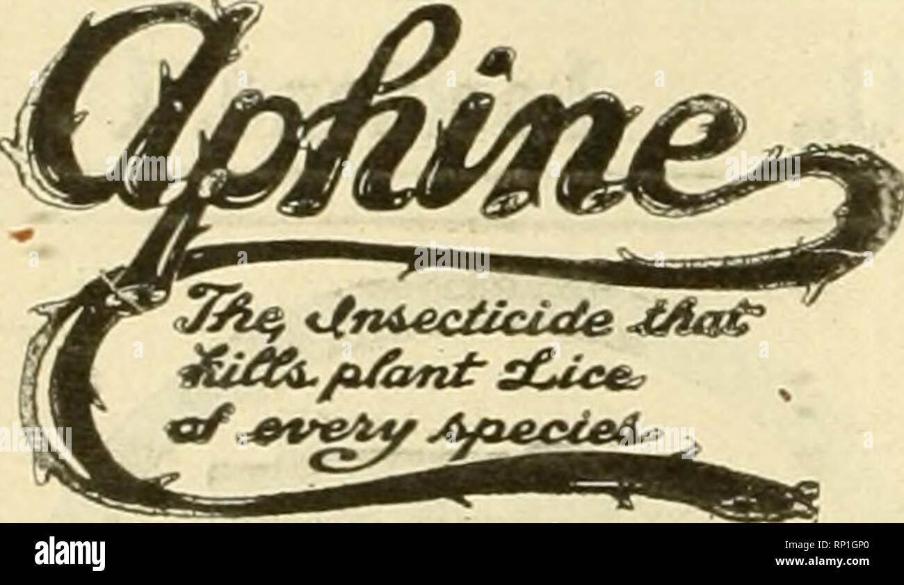 . The American florist : a weekly journal for the trade. Floriculture; Florists. 504 The American Florist. Sept. /p', LIQUID ="NICO-FUME"-F>APER SPRAYING — VAPORIZING — FUMIGATING «»li: S ^ od «s i:ri e r:i for* I^i:*ioo«s Manufactured by THE KENTUCKY TOBACCO PRODUCT CO., Incorporated, LouisviUe, Ky. Agricultural Experiment Stations are favoring 40% nicotine solutions in their recommendations forfumigating and spray- ing. To meet the demand this has created we now offer "40 NICOTINE" $13.00 GalIon-$3.75 Quart—$2.00 Pint. Compare these prices with what you now pay, NIKOTI Stock Photo