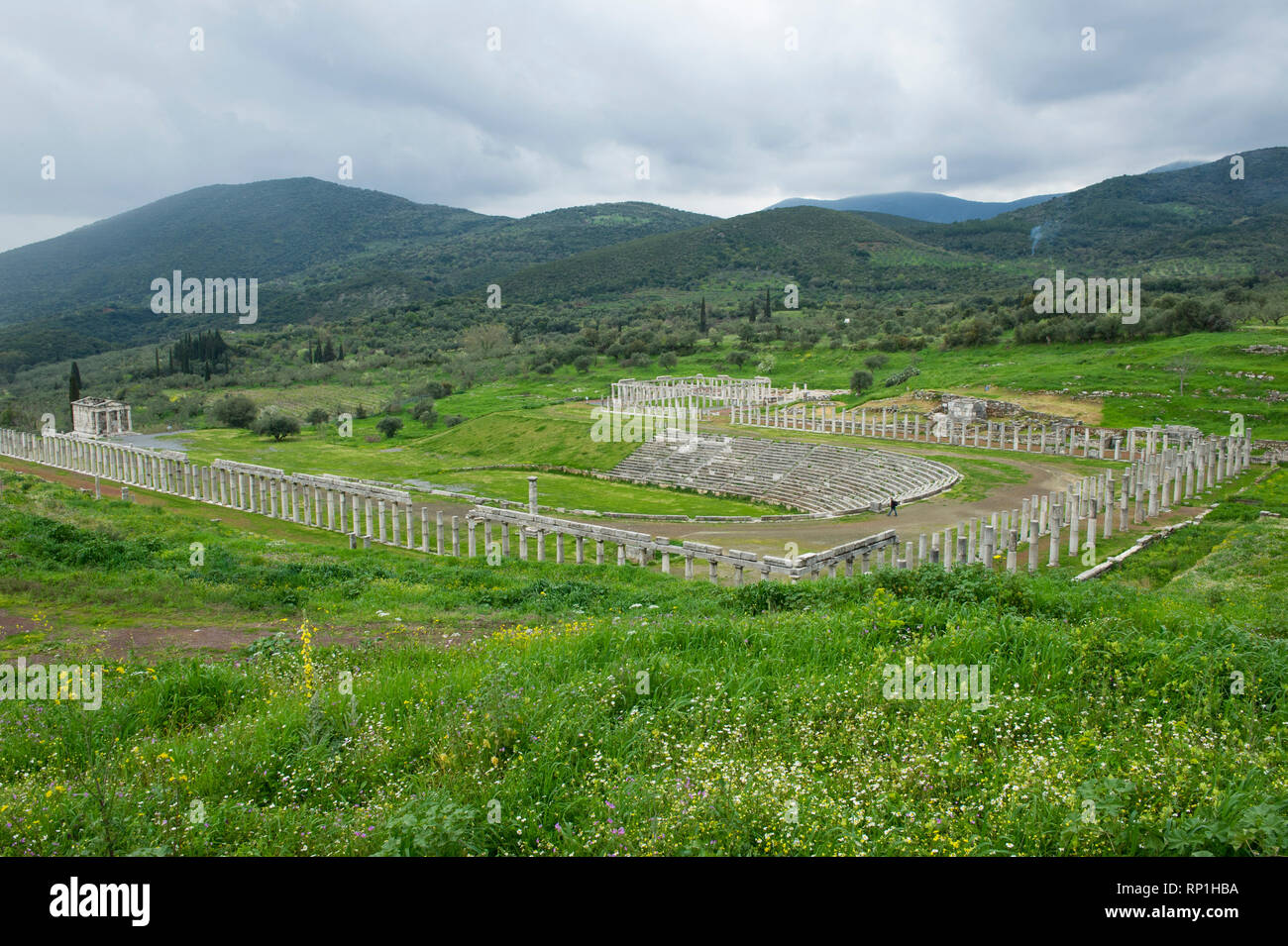 The stadium and the gymnasium, Ancient Messene, Greece Stock Photo
