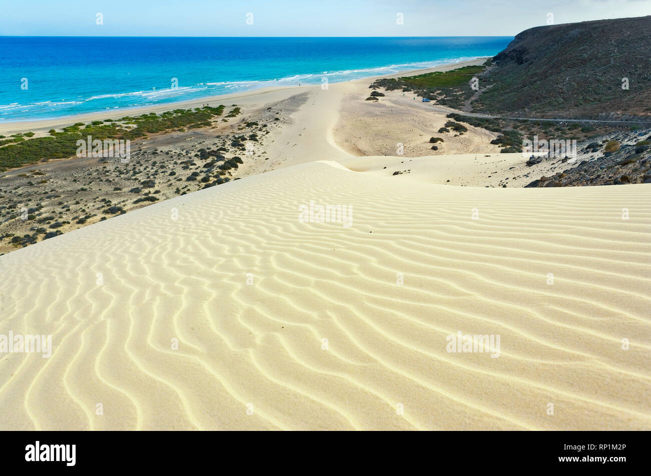 Sandy dunes at Sotavento Beach, Jandia Peninsula, Fuerteventura, Canary Islands, Spain Stock Photo