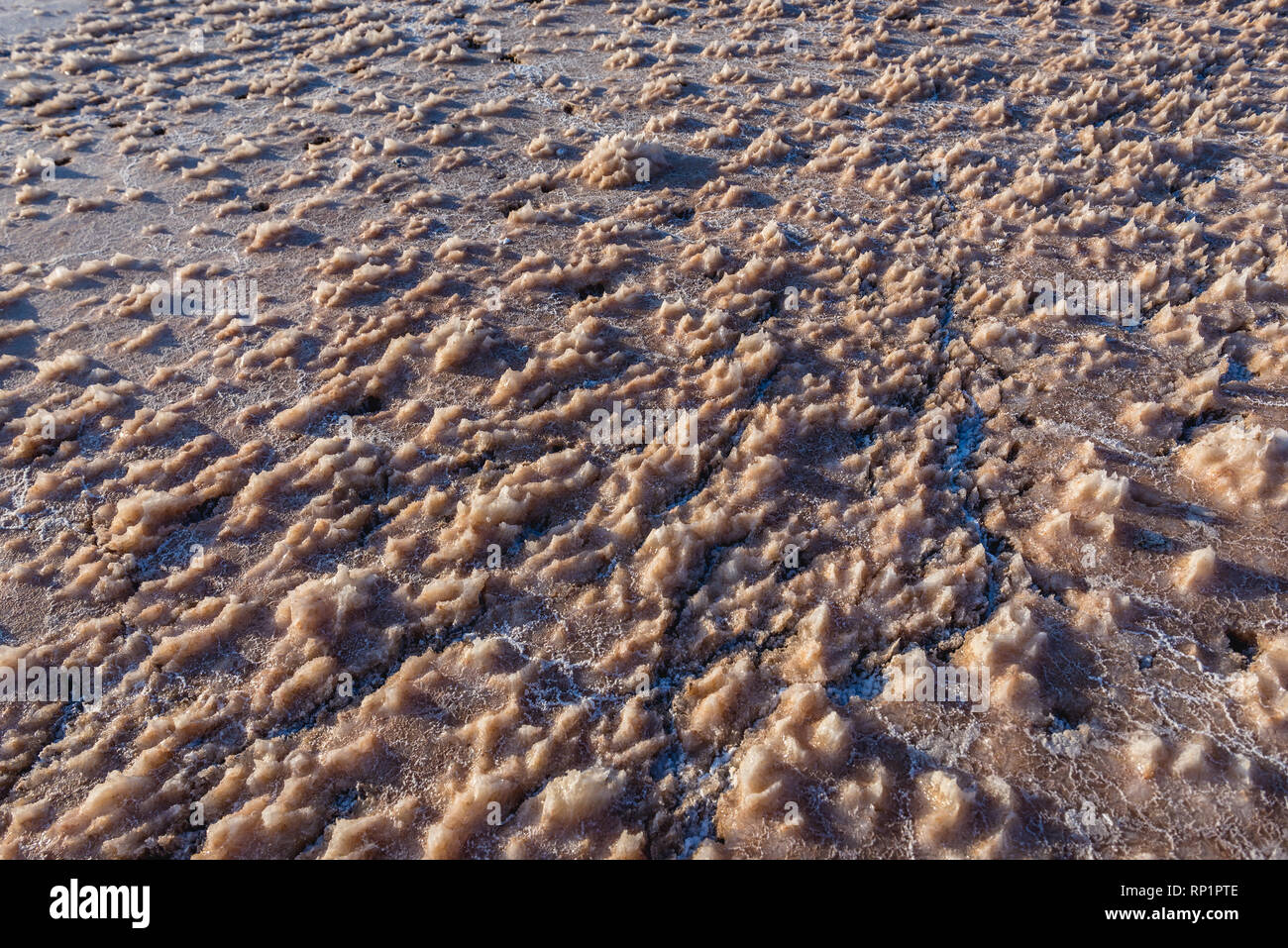 Details of halite deposits on a shore of Dead Sea in Jordan Stock Photo