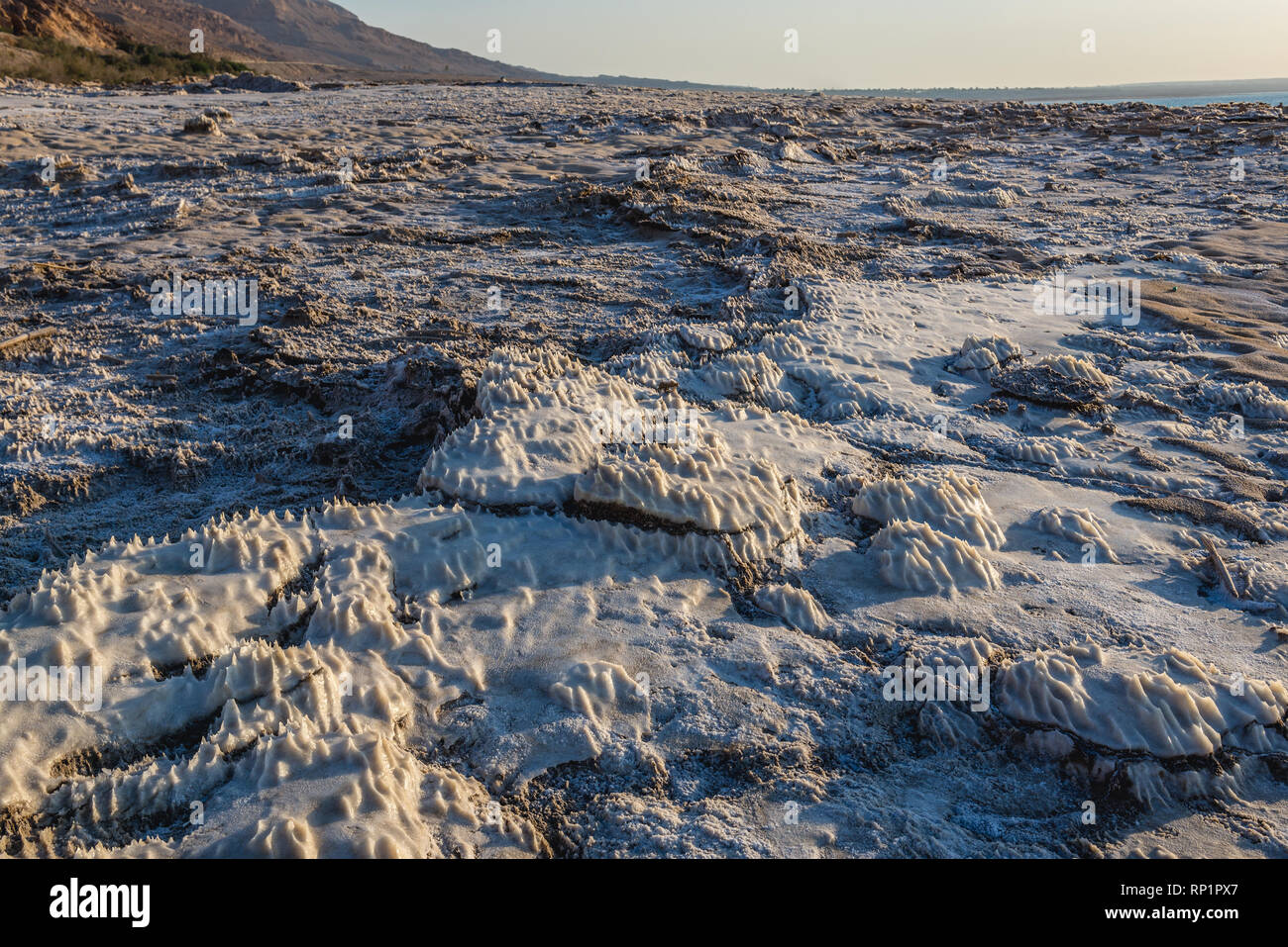 Halite structures on a shore of Dead Sea in Jordan Stock Photo