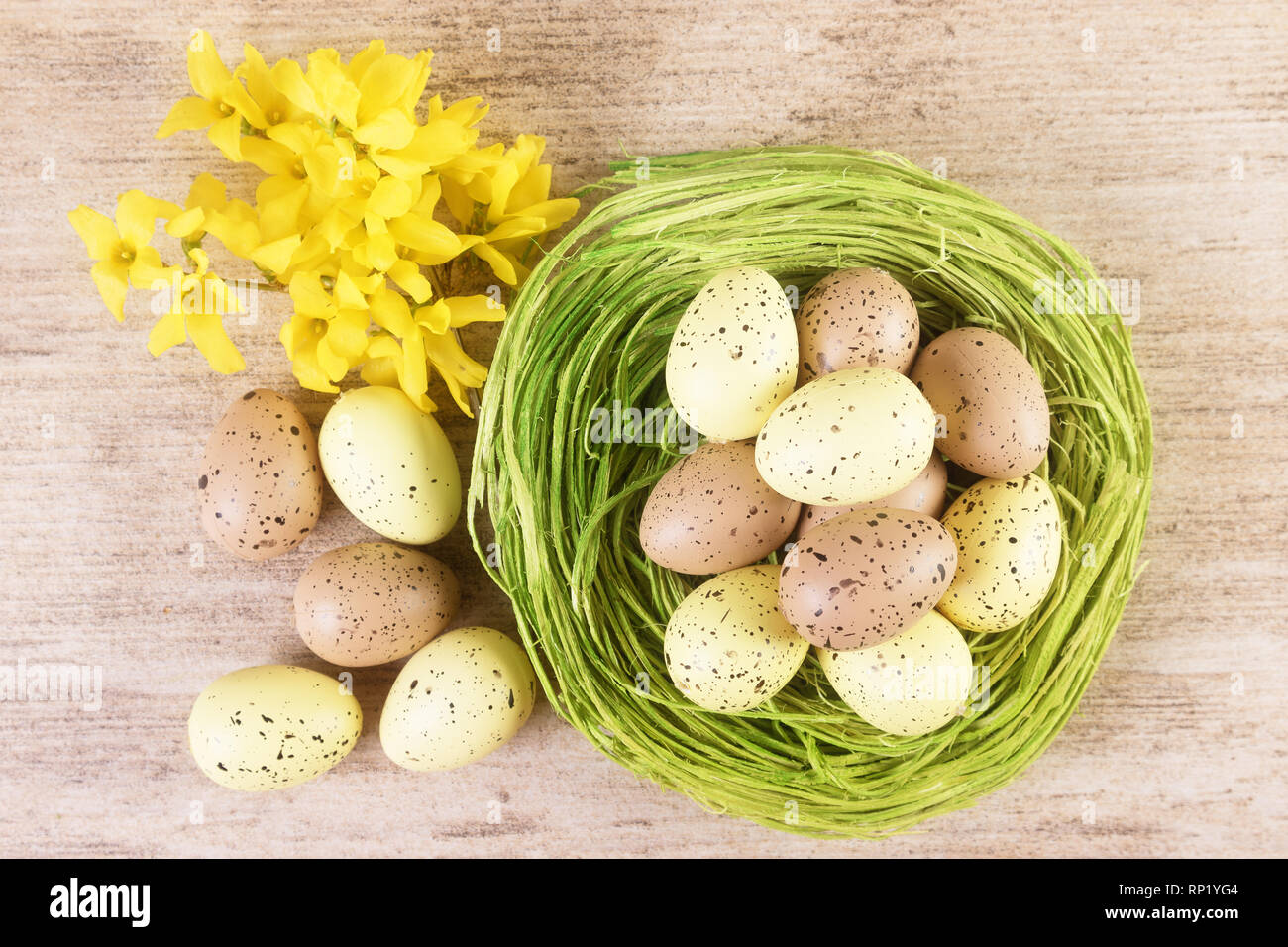 Easter green straw nest filled with colourful pastel eggs, top view, closeup Stock Photo