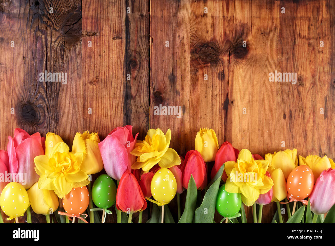 Easter rustic background. Pink and yellow tulips and daffodil flowers in the row on old wooden planks. Stock Photo