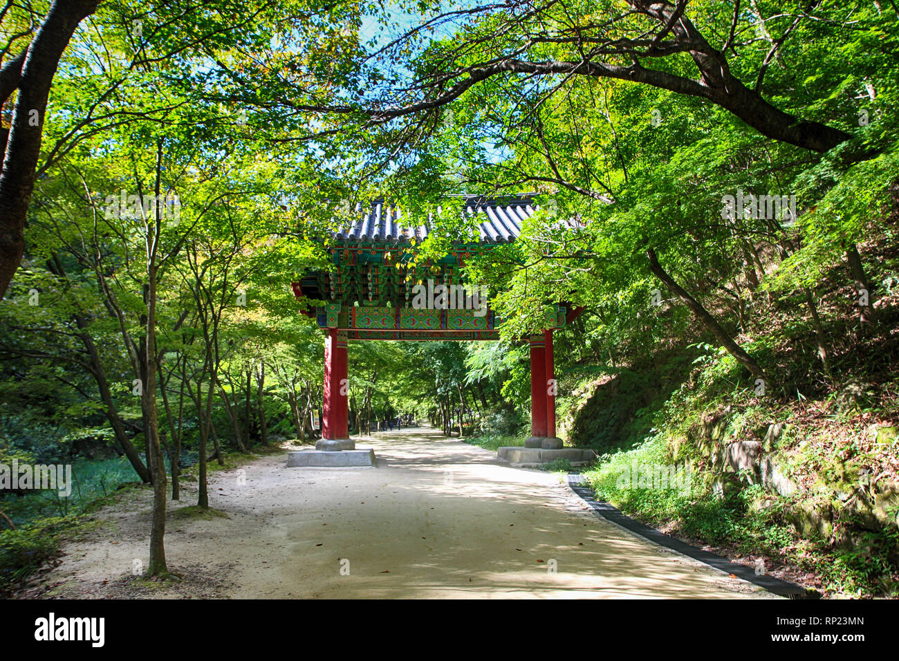 Road of Gangcheonsan Mountain, Sunchang, Jeollanamdo, South Korea, Asia Stock Photo