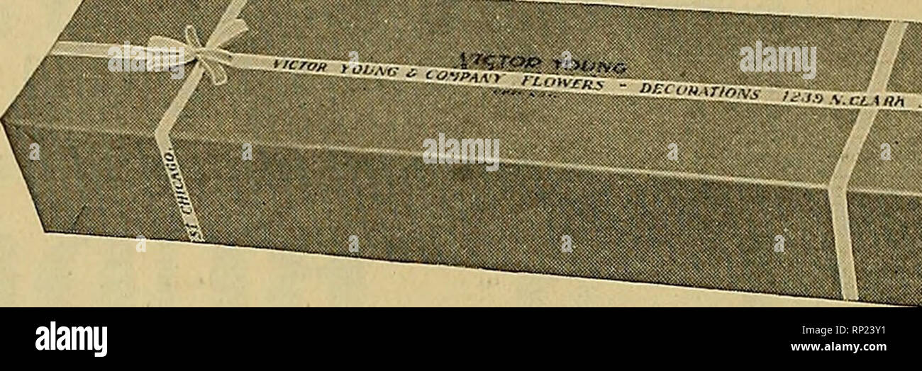 . The American florist : a weekly journal for the trade. Floriculture; Florists. 120 The American Florist. Aug. 5, Established 1883 Incorporated 1892 Kennigott Bros. Company Wholesale Commission Florists 163-5 No. Wabash Ave., Chicago Telephone Central 466 Detroit. WEATHER CONDITIONS VERY UNFAVOEABLEr' Florists, both growers and retailers, are now experiencing most trying con- ditions, due solely to the unprecedented heat and drouth. There has been no rain here worth mentioning for over six weeks and field crops of all kinds are suffering greatly. As a conse- quence outdoor flowers are very sc Stock Photo