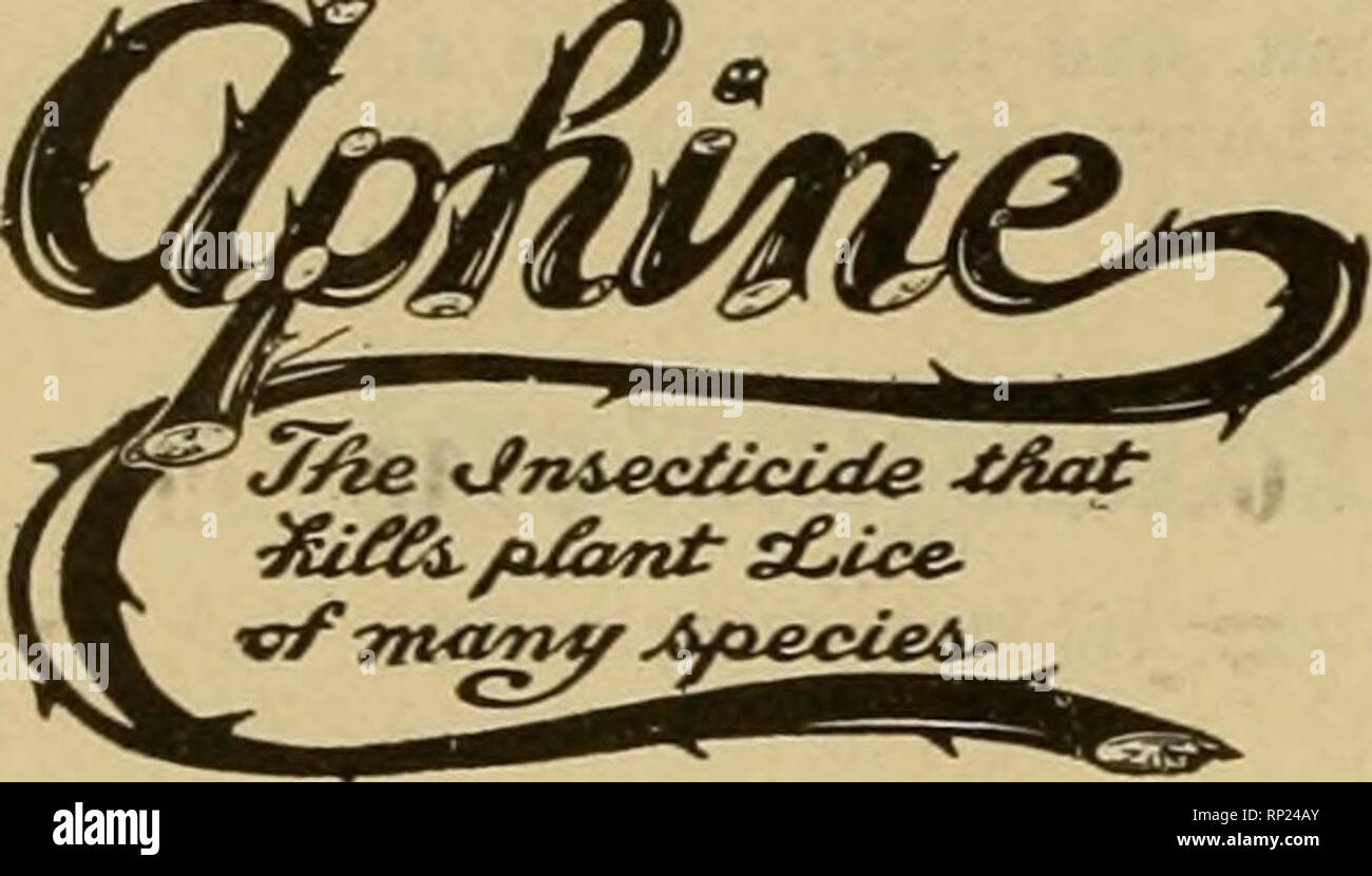 . The American florist : a weekly journal for the trade. Floriculture; Florists. BUY DIRECT-FACTORY TO USER PRICES KROESCHELL BROS. CO., 452 W. Erie St., CHICAGO. The Recognized Standard Insecticide A spray remedy for green, black, white fly thrips and soft scale. Quart, $1.00. Gallon, $2.50. FUNGINE. For mildew, rust and other blightB affectioff fiowera, fruits and vegetables. Quart, $1.00 Gallon, $3.50 VERMINE. For eel worms, angl'^ worms aod other worms workme in tlie soil Quart, $1.00 Gallon, $3.00 Sold by Dealers. MANUFACTURING COMPANY APHINE MADISON. N. J. Aetna Brand Tankage Fertilizer  Stock Photo
