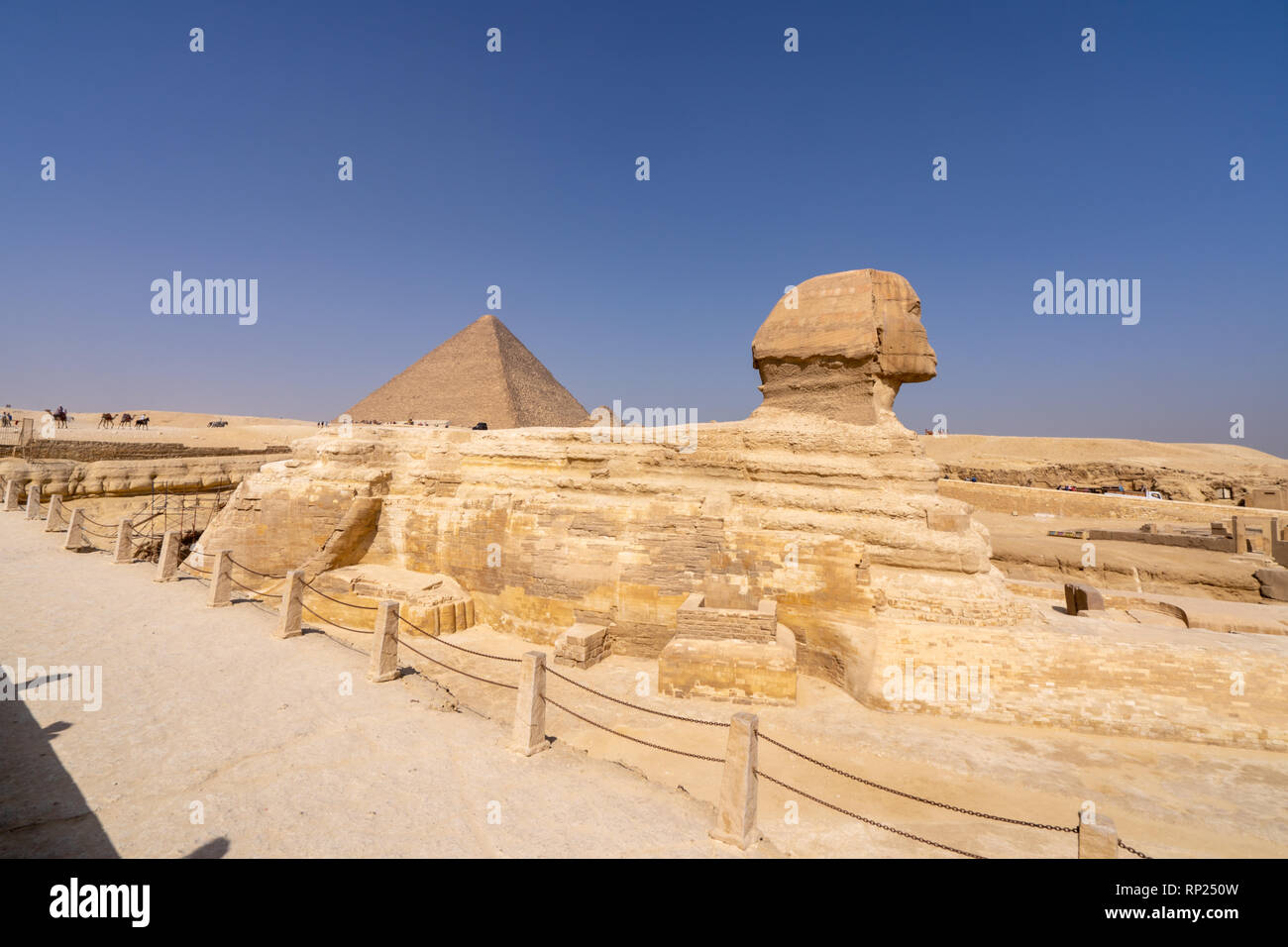 Great Sphinx of Giza, with the Great Pyramid in the background Stock ...